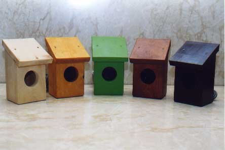 5 Different Colos of E.A.R.